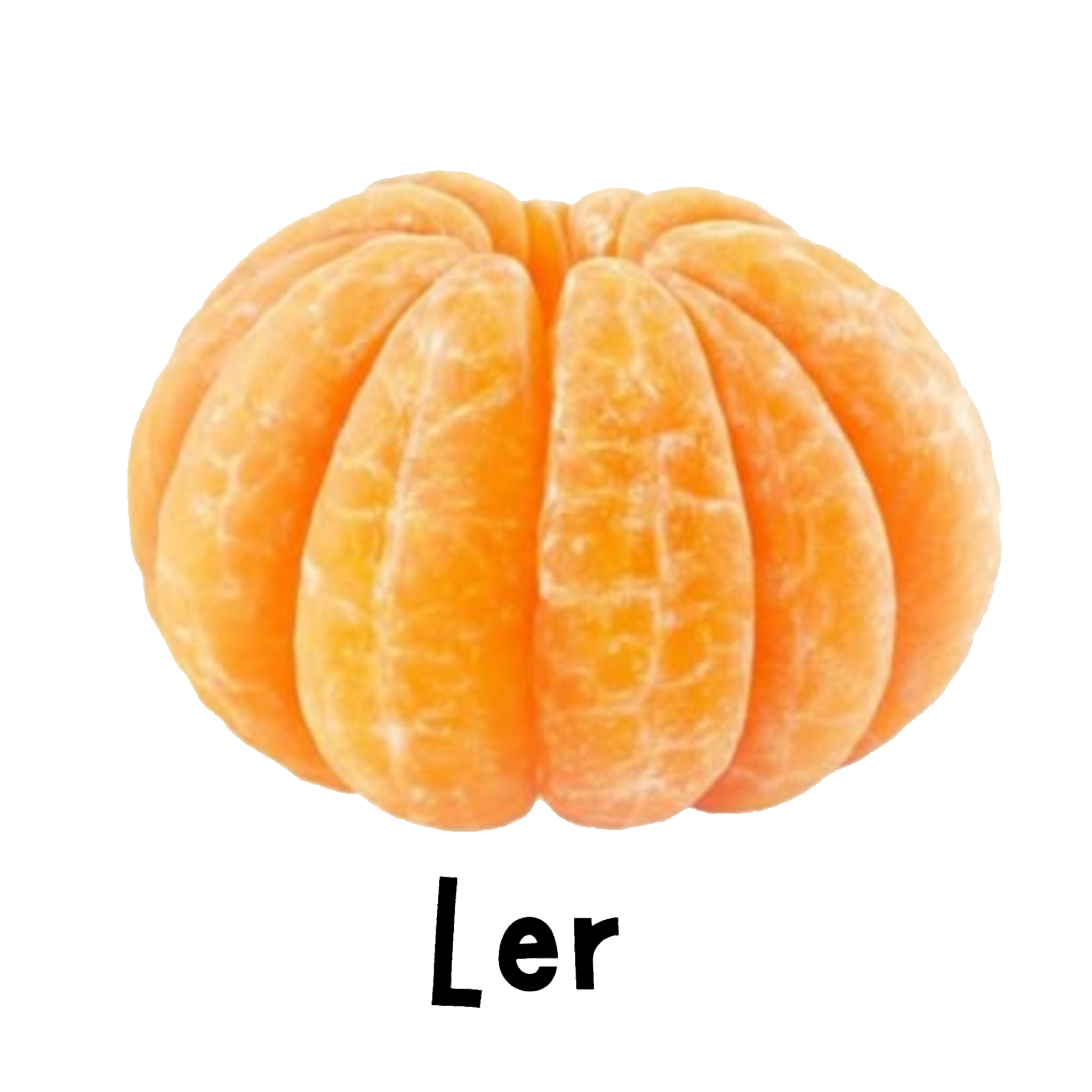 Icon 2